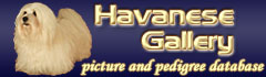 www.havanesegallery.hu